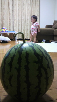 西の瓜と書いて