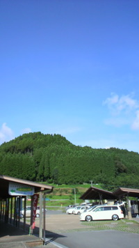 朝から(^o^)/