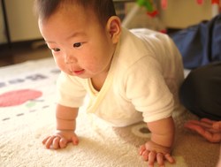 おはよーございます(´ω`)