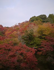 結局