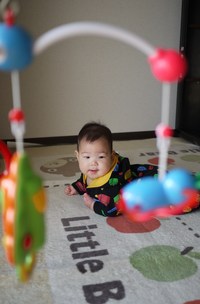 えぇ天気やの~ぅ(´▽`)
