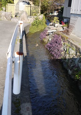 ただいま~(´ω`)ノ