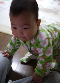 たっち