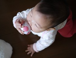 ブーム