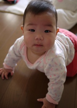 ブーム
