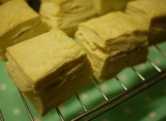 疲れてんのか?