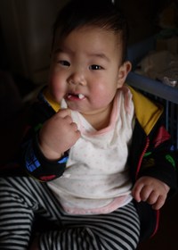 がさごそ