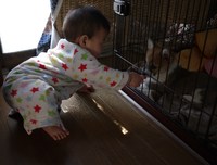 癒し(*´∇`*)
