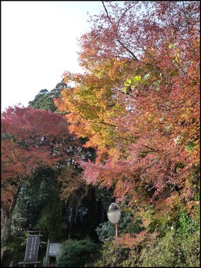 超遊んだ日(^o^)