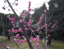 気分を変えて…