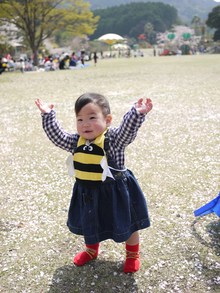 連日お花見☆彡