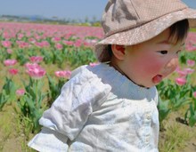 チューリップ祭り