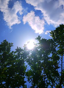 えぇ天気やのぅ～(´ω`)