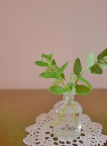 えぇ天気やのぅ～(´ω`)