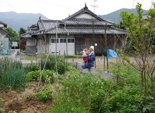 写真