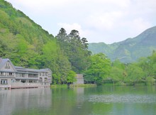 どらどらいぶいぶ(^o^)