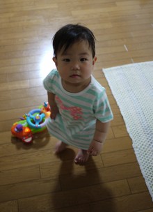 ブーム到来(´ω`)