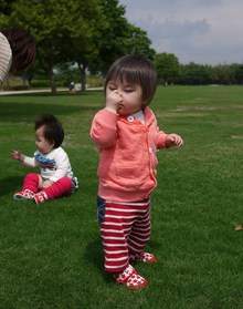 6月萌会