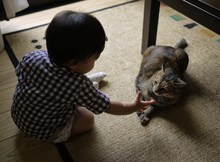 向かった先は