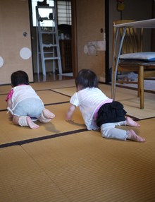 どわぁーっ(つ´∀`)つ