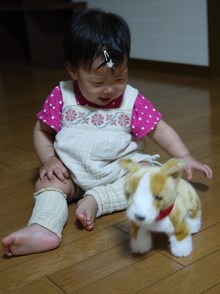 どわぁーっ(つ´∀`)つ