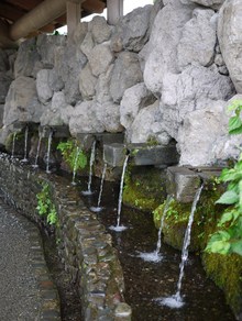 ソフトクリームな旅(´ω`)