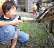 ソフトクリームな旅(´ω`)