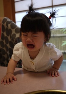 本日の萌会