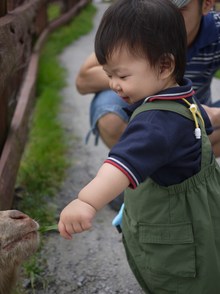 こんな誕生日
