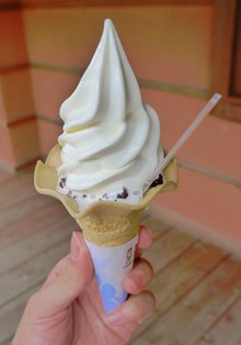 今日もココ(^v^)ノ