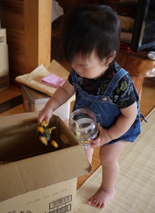 我が家が最高☆