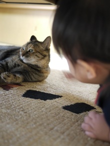 今日のおでかけ(^3^)/