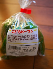 あてもなく…(゜3ﾟ)