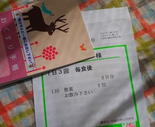やってきた。。。