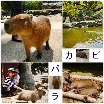 長崎ヽ(^ω^)