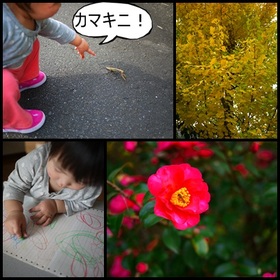 ぽや~~ん。。。(´ω`)