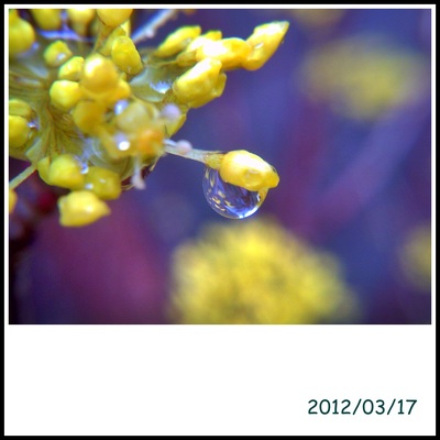 あったかい1日。