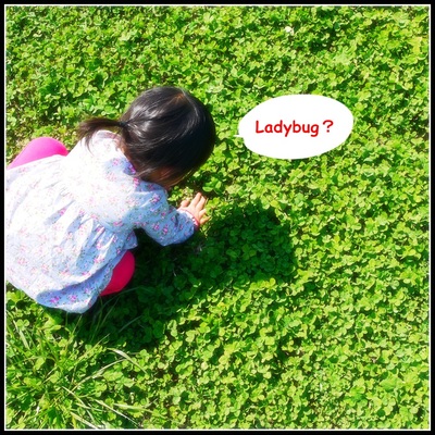 菜の花とちびっこ♪
