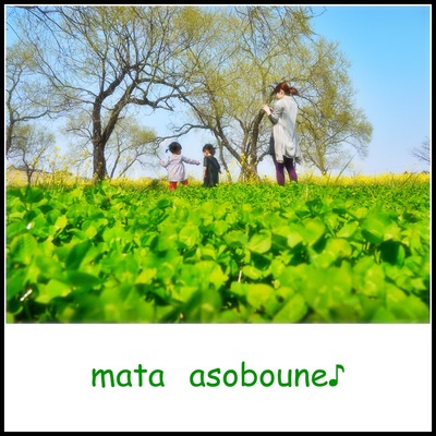菜の花とちびっこ♪
