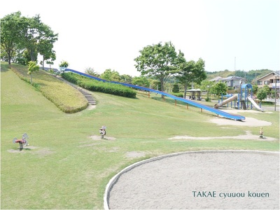 公園日和