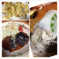大黒やで烏賊づくし