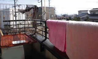ワンコの家の大掃除