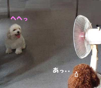 大好き~☆