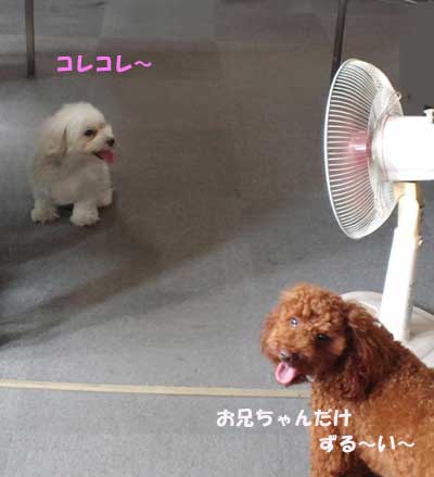 大好き~☆