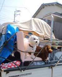 引越し~♪