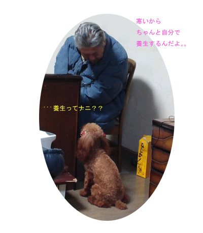 養生って?