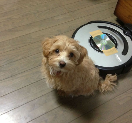 赤ドットちゃん^^
