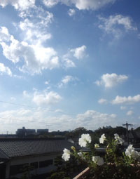 洗濯日和~♪