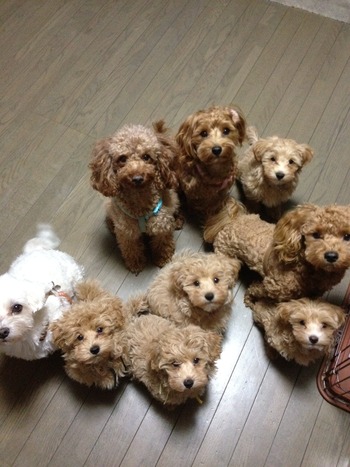 こんな日は・・・
