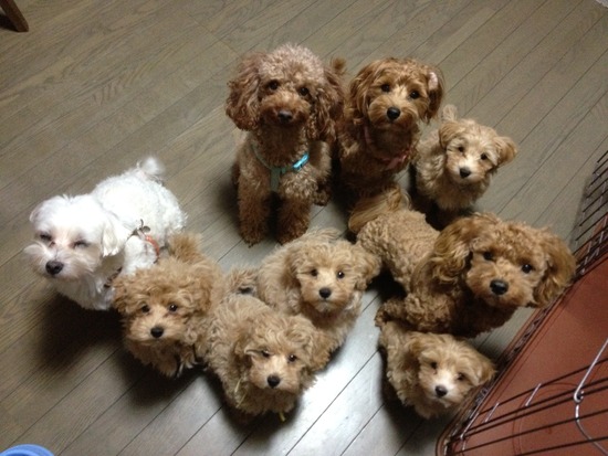 こんな日は・・・